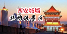 日本操逼视频中国陕西-西安城墙旅游风景区